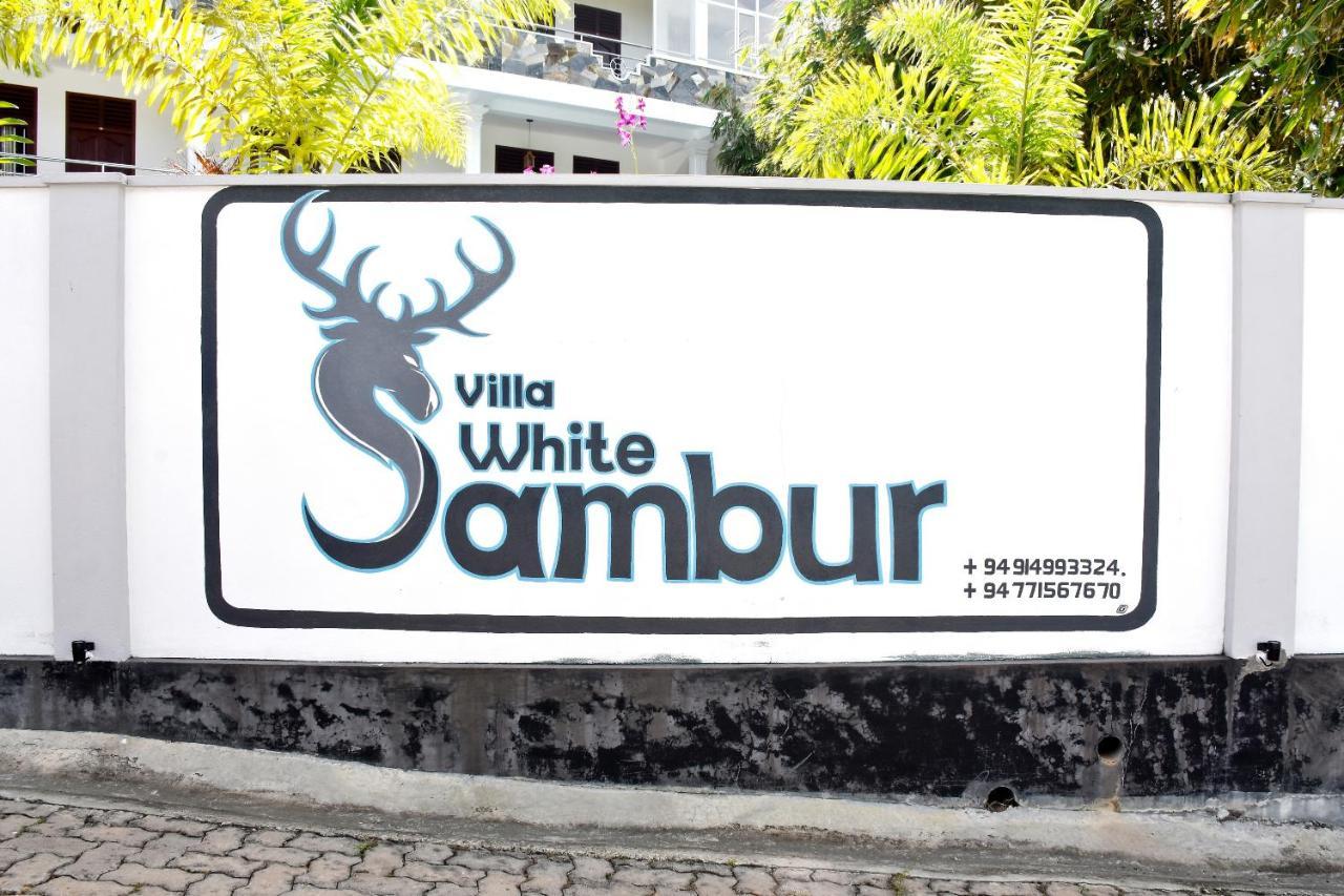 Villa De White Sambur Hikkaduwa Exteriér fotografie