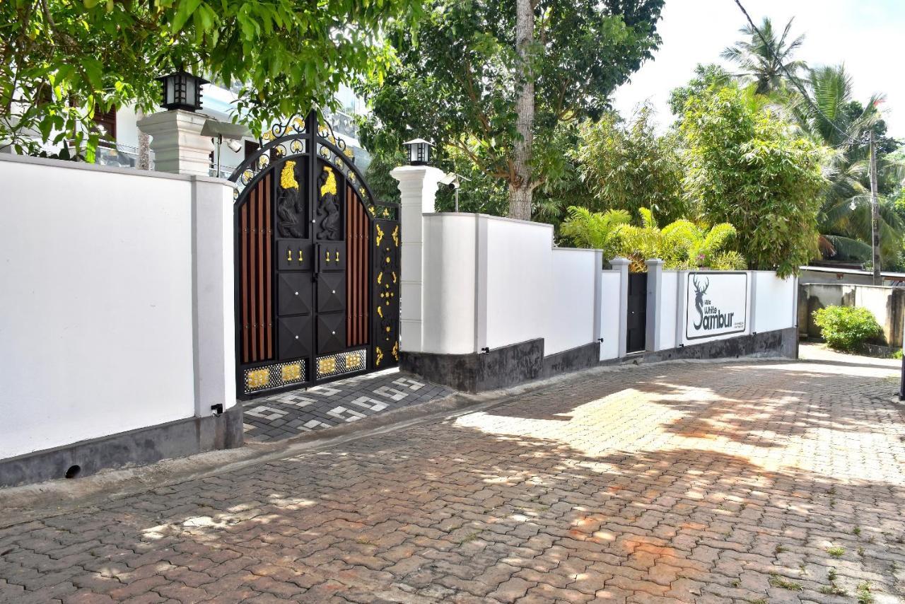 Villa De White Sambur Hikkaduwa Exteriér fotografie