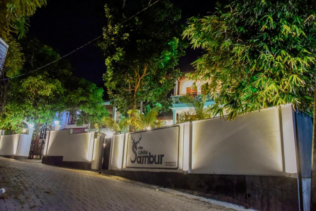 Villa De White Sambur Hikkaduwa Exteriér fotografie